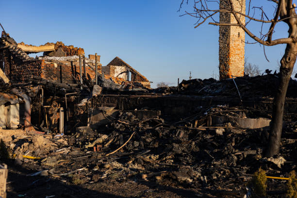 Reliable Fire Damage Removal contractor in Bethel, WA by Fire Damage Doption